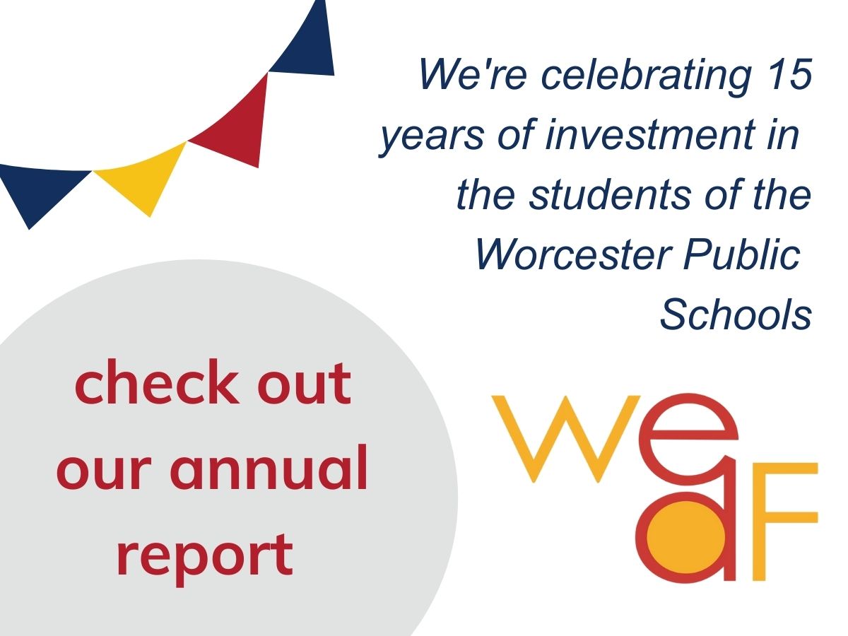 Annual Report 2019 2020 Blog Post 2